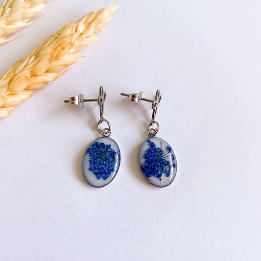 Cercei delicați cu flori de morcov sălbatic albastre